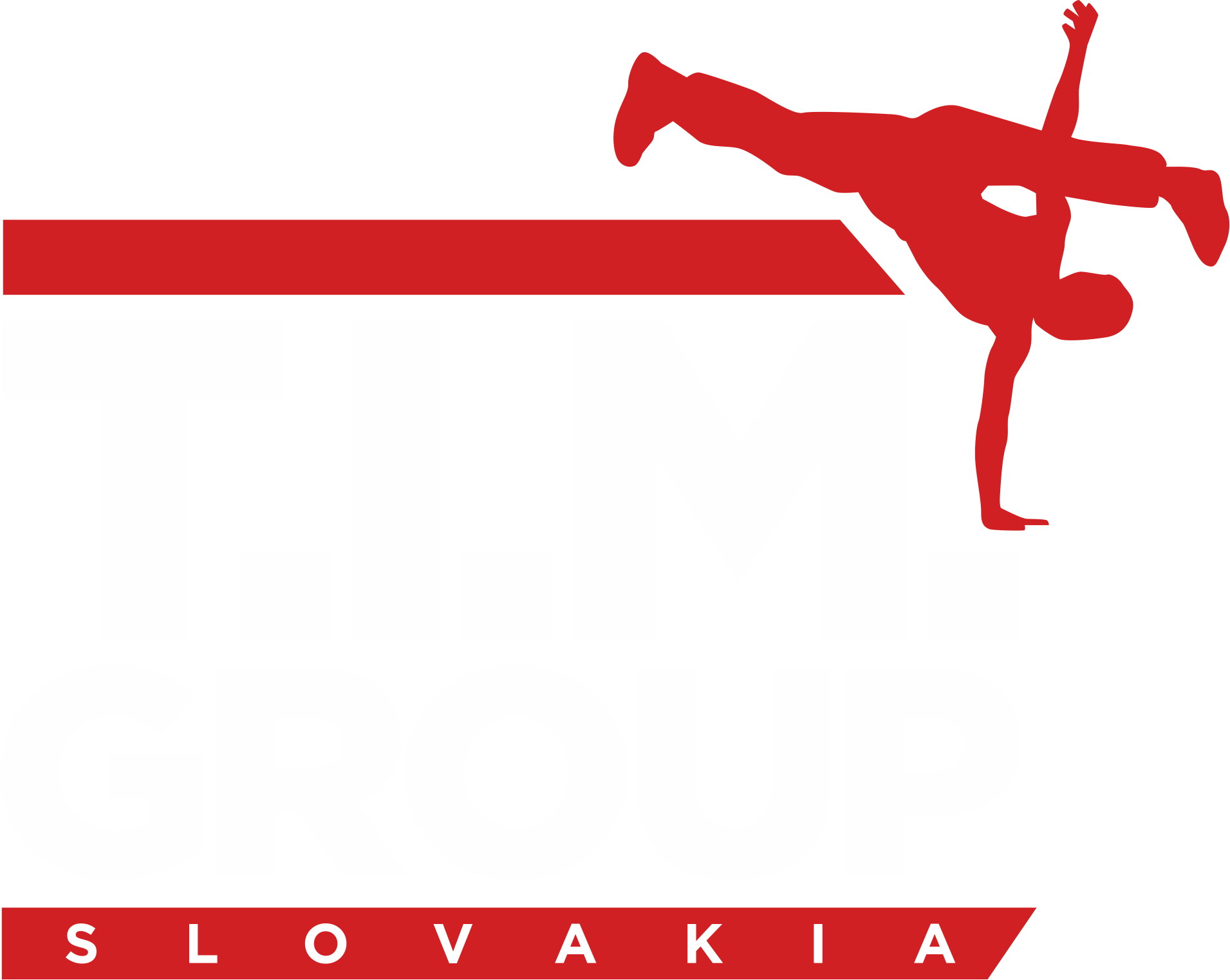 T.I.M. Group Slovakia logo